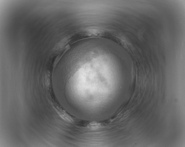 X0000063510413200601201444