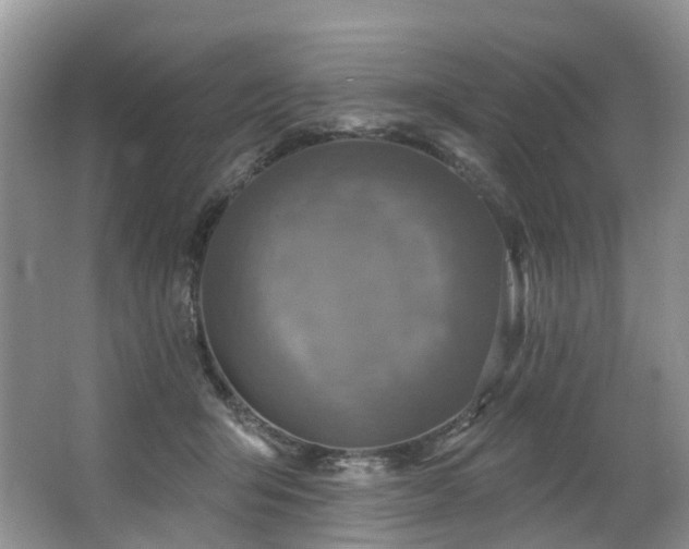 X0000063510415200601201444