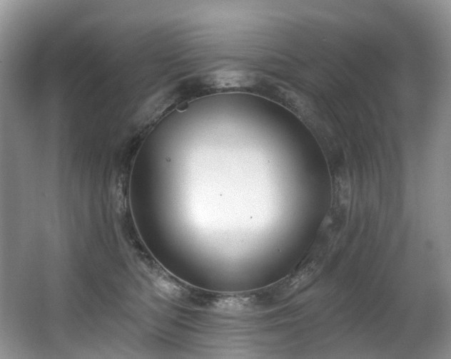 X0000063510422200601201444