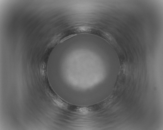 X0000063510423200601201444