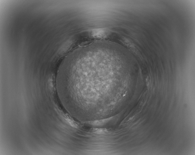 X0000063510424200601201444