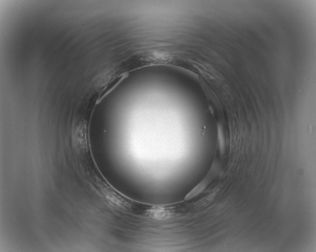 X0000063510425200601201444