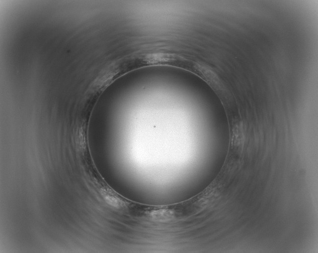 X0000063510426200601201444