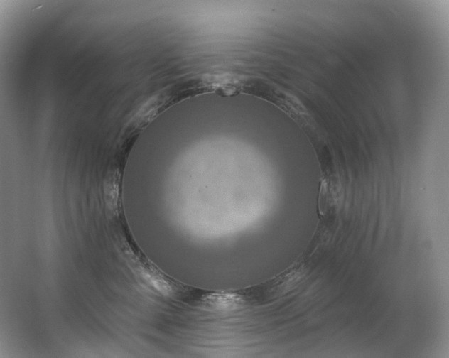 X0000063510427200601201444