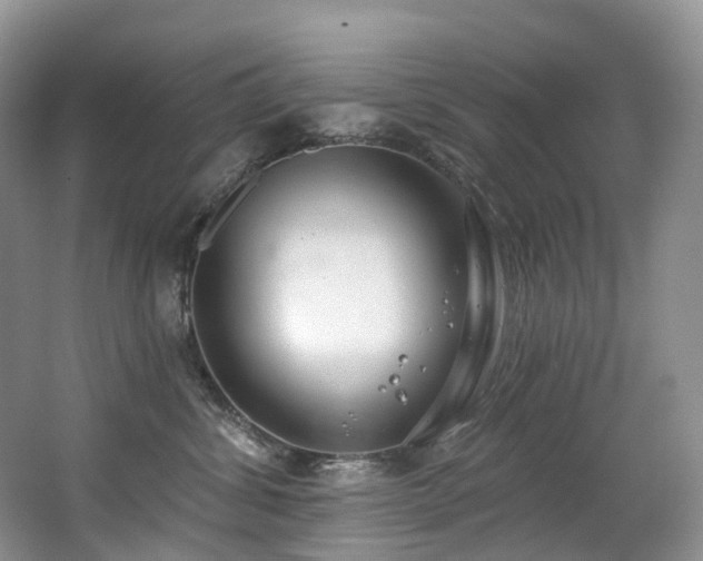 X0000063510428200601201444