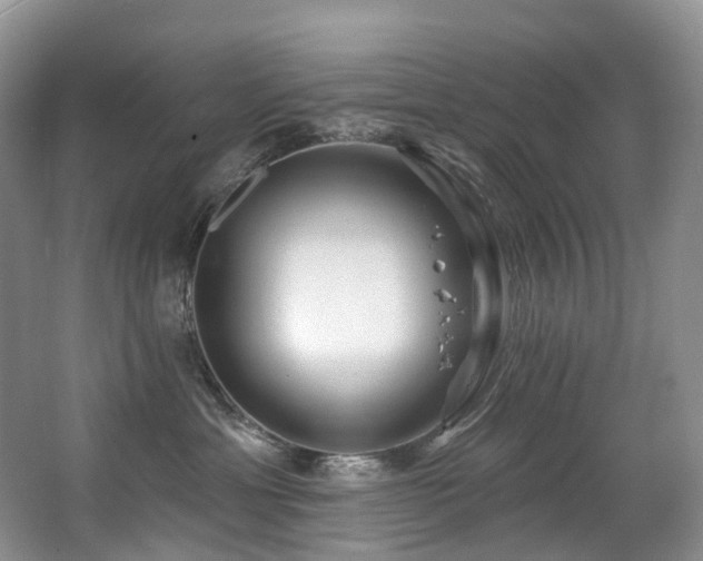 X0000063510429200601201444