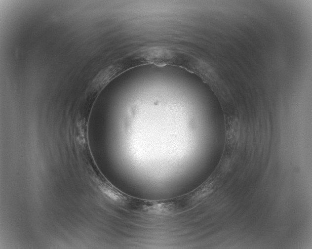 X0000063510430200601201444