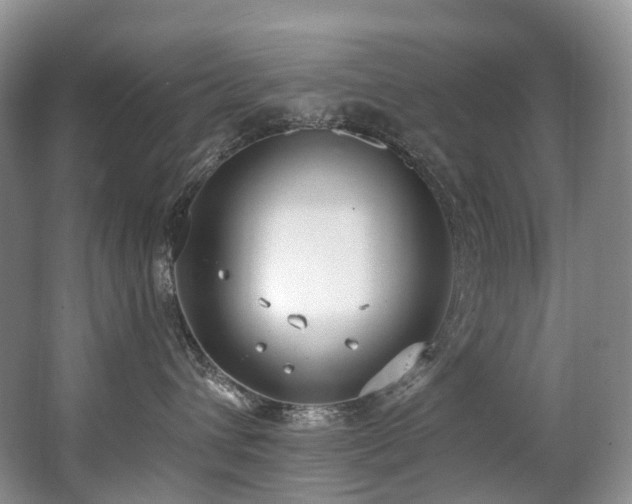 X0000063510432200601201444