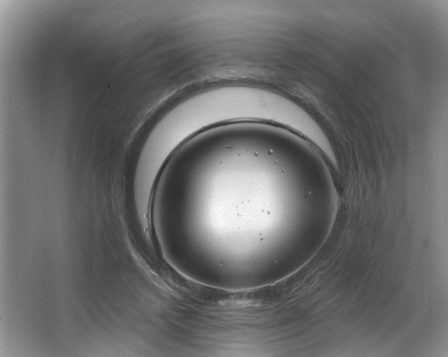X0000063510448200601201443