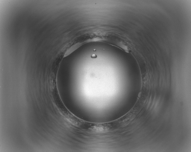 X0000063510464200601201443