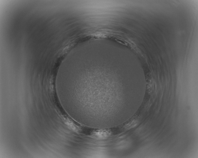 X0000063510466200601201443