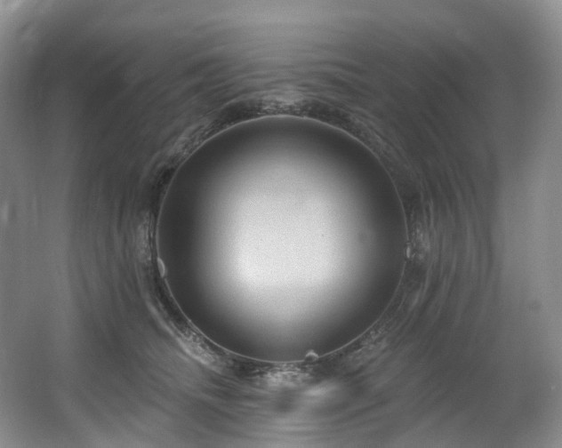X0000063510468200601201443