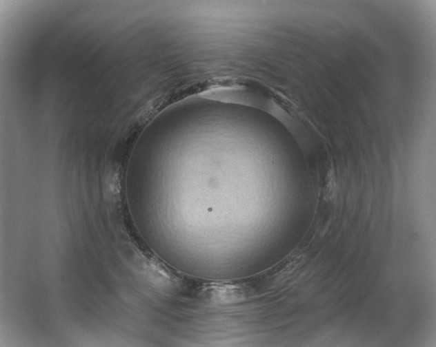 X0000063510472200601201443