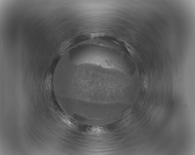 X0000063510475200601201443
