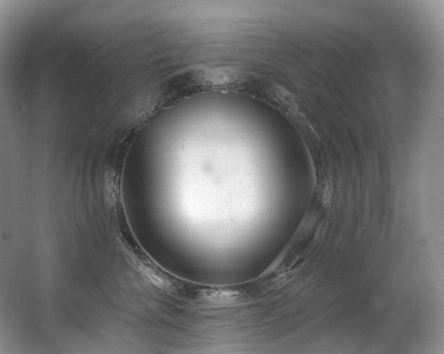 X0000063510476200601201443