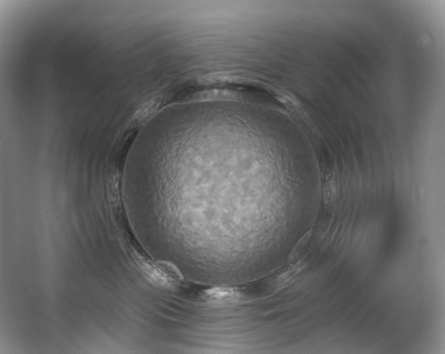 X0000063510477200601201443