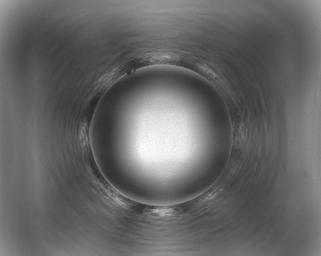 X0000063510478200601201443