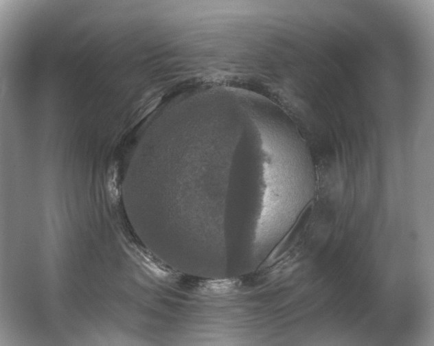 X0000063510479200601201443