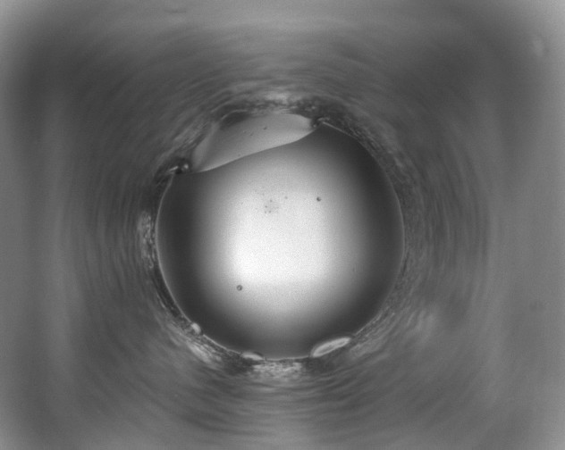 X0000063510480200601201444