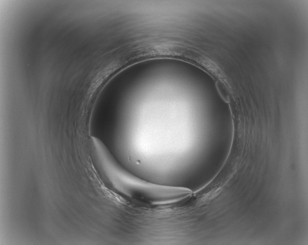 X0000063510481200601201443