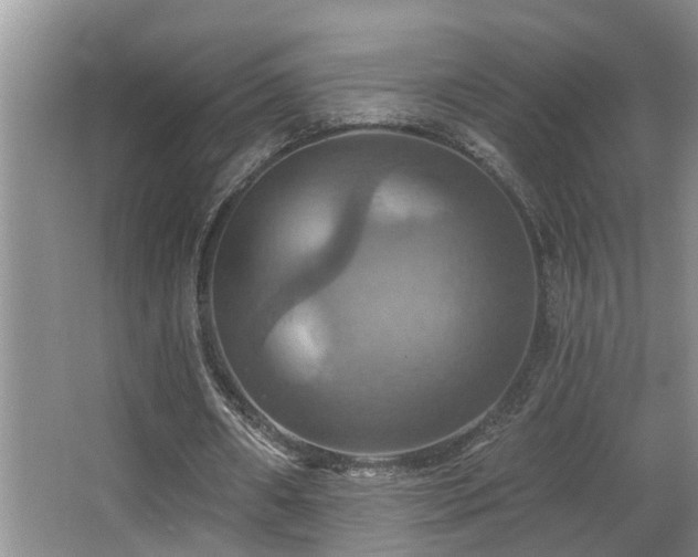 X0000063510482200601201443