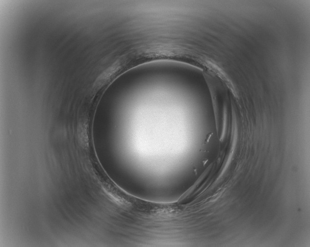 X0000063510489200601201443