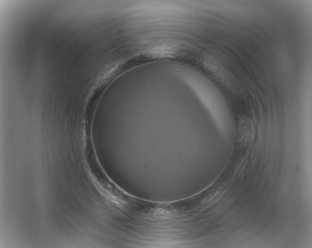 X0000063510494200601201442