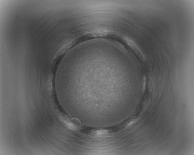 X0000063510501200601201442