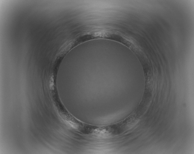 X0000063510502200601201442