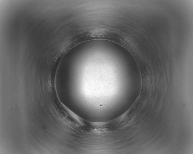 X0000063510508200601201442