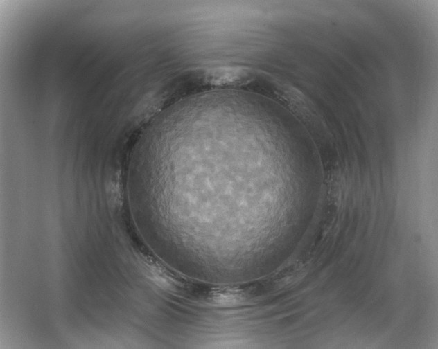 X0000063510510200601201442