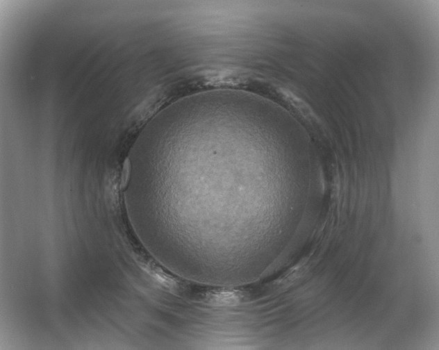 X0000063510513200601201442