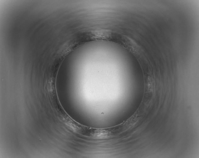 X0000063510514200601201442