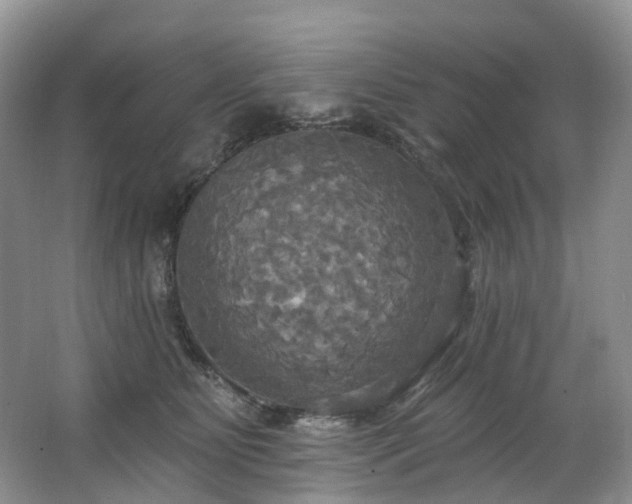 X0000063510515200601201442