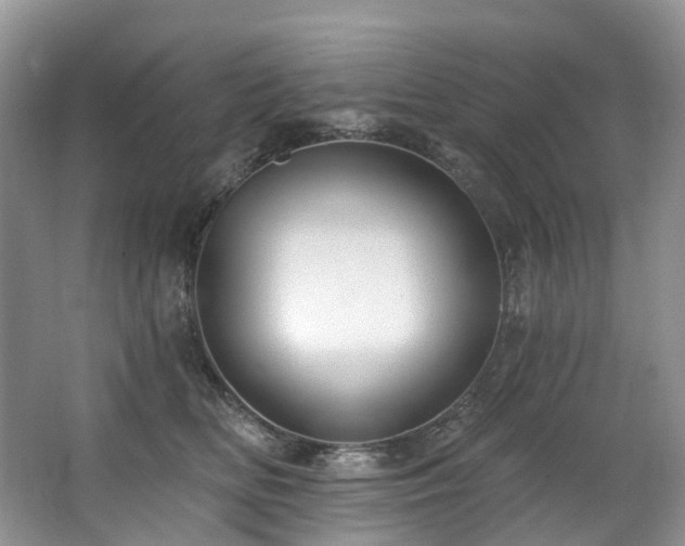X0000063510518200601201442