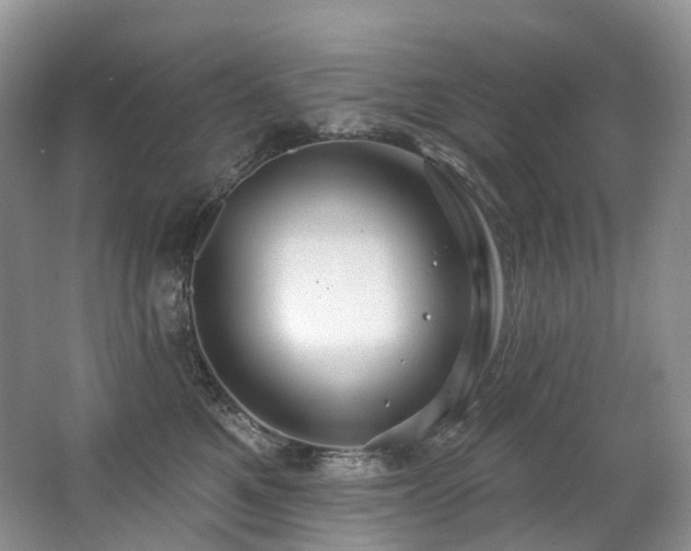 X0000063510521200601201442