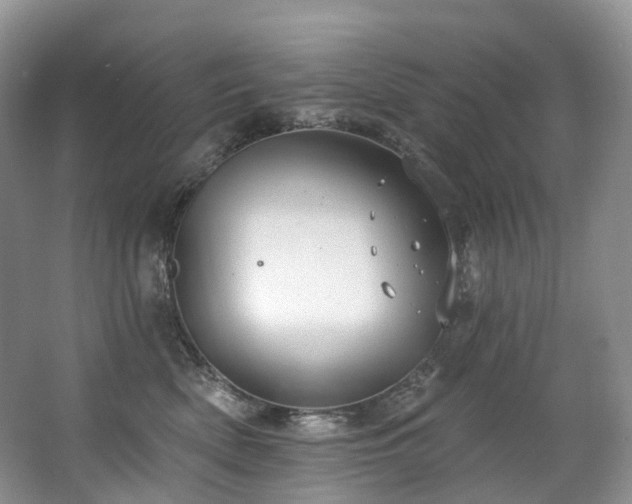 X0000063510522200601201442