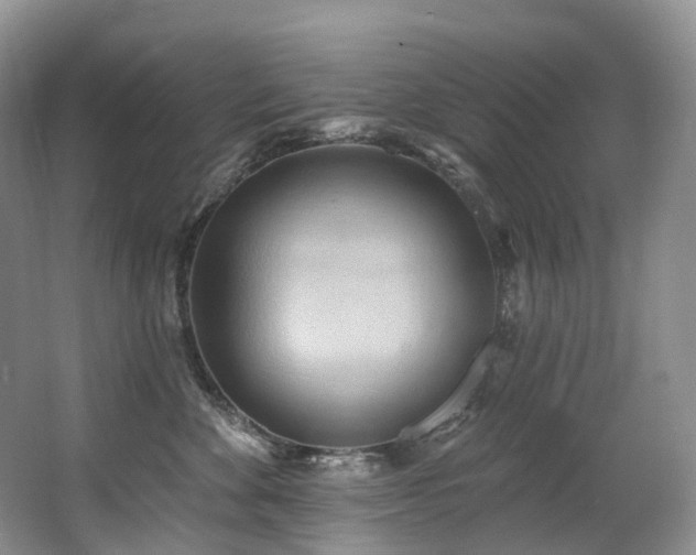 X0000063510524200601201442