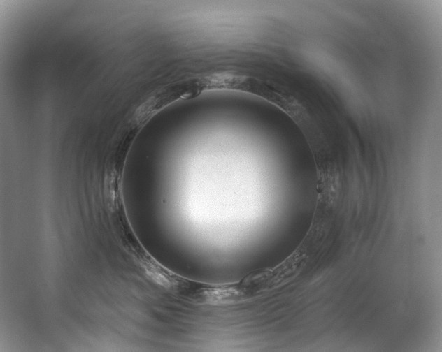 X0000063510525200601201442