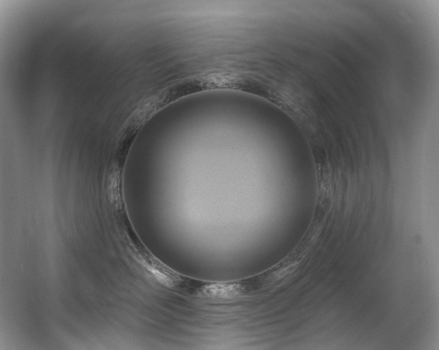 X0000063510526200601201442