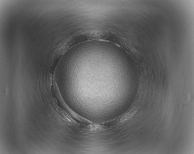 X0000063510528200601201442