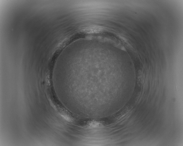 X0000063510547200601201441