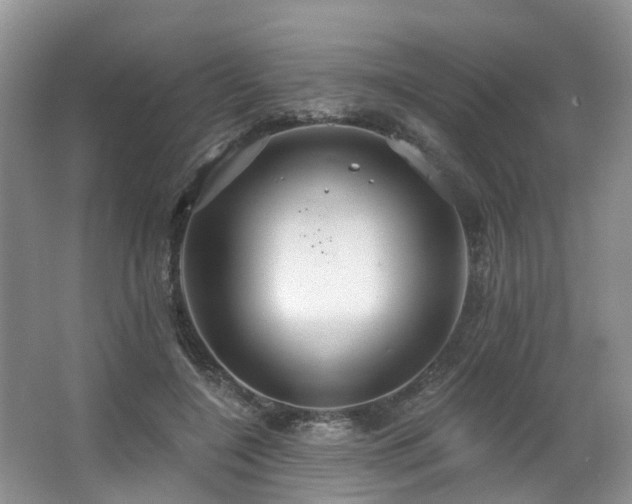 X0000063510548200601201441