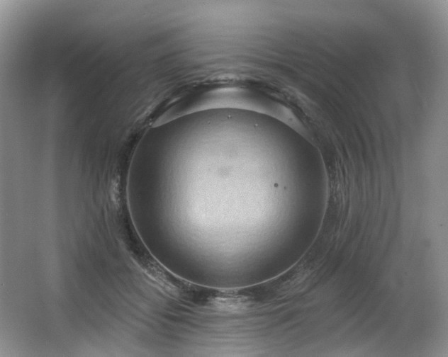 X0000063510556200601201442