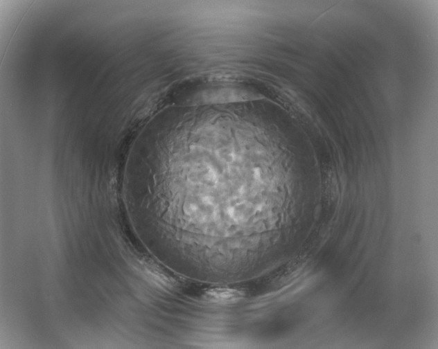 X0000063510557200601201442