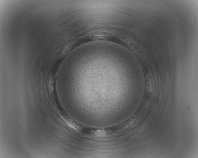 X0000063510562200601201442