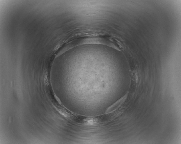 X0000063510564200601201442