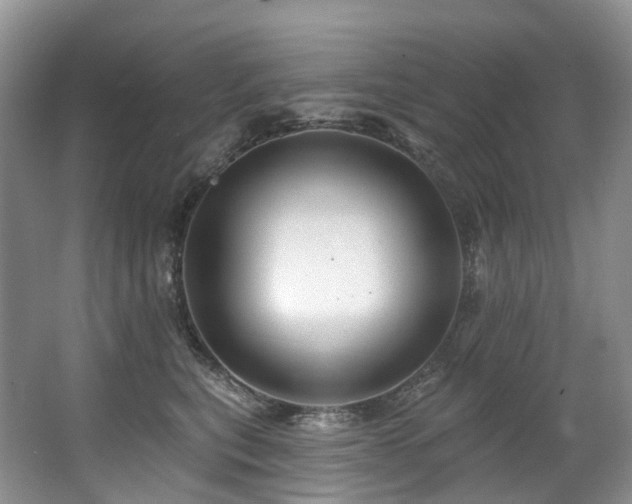 X0000063510567200601201442