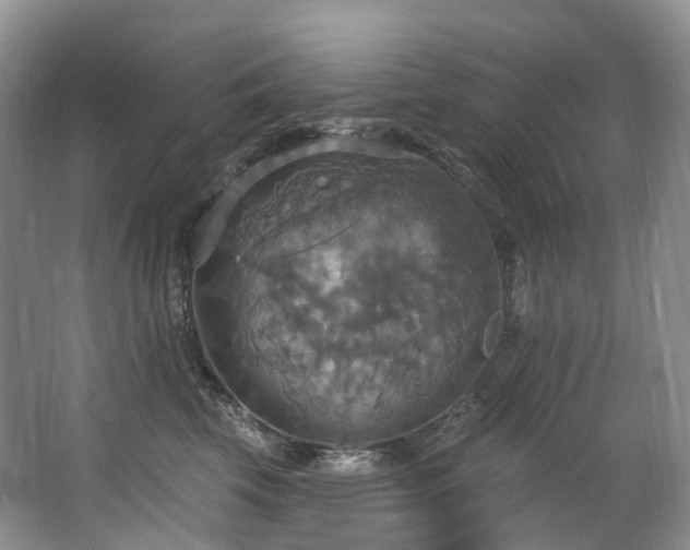 X0000063510569200601201442