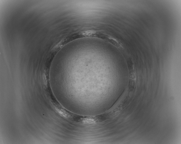 X0000063510572200601201442